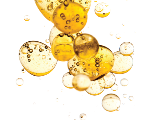 Glyceryl Cocoate