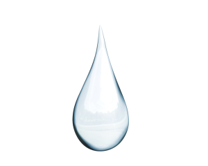 Pflanzliches Glyzerin (palmölfrei) - frei von Palmitaten