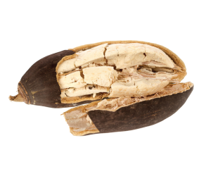 Baobab-Samen-Öl, nicht raffiniert, organic