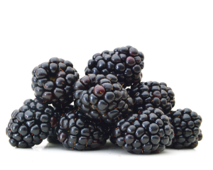 Das Brombeeren-Kernöl, nicht raffiniert