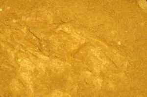 BRIGHT GOLD