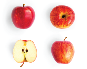 Malus Domestica plant stem cells