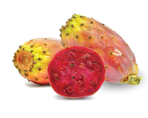 Hydrolate fruit prickly pear fig