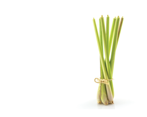 Lemon Grass Oil