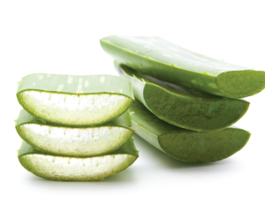 Aloe Vera Extrakt 200fach, Organic-Pulver