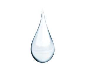 Squalan (Squalane) Light