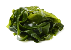 Wakame (Undaria pinnatifida)
