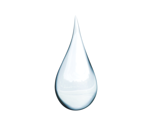 Coco-Caprylate/Caprate